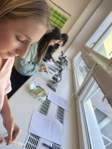 Fotogalerie Biologická olympiáda – školní kolo, foto č. 6