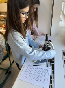 Fotogalerie Biologická olympiáda – školní kolo, foto č. 5