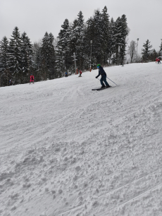 Fotogalerie Lyžařský kurz 2026, foto č. 4