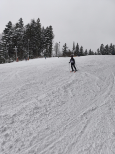 Fotogalerie Lyžařský kurz 2026, foto č. 3