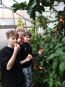 Fotogalerie Skleník plný života: práce žáků 7. ročníku přináší ovoce, foto č. 5