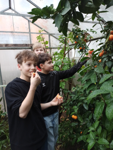 Fotogalerie Skleník plný života: práce žáků 7. ročníku přináší ovoce, foto č. 2