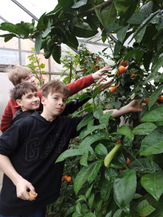 Fotogalerie Skleník plný života: práce žáků 7. ročníku přináší ovoce, foto č. 6