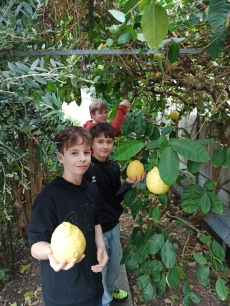 Fotogalerie Skleník plný života: práce žáků 7. ročníku přináší ovoce, foto č. 1