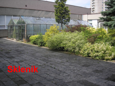 Fotogalerie Skleník plný života: práce žáků 7. ročníku přináší ovoce, foto č. 8