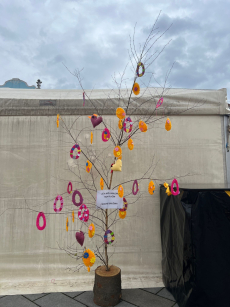 Fotogalerie Zdobení břízky na novojičínském náměstí, foto č. 9