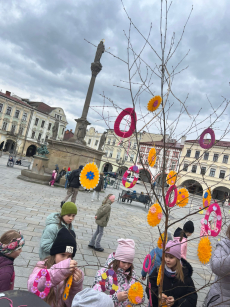 Fotogalerie Zdobení břízky na novojičínském náměstí, foto č. 6