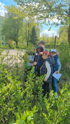 Fotogalerie Čarodějnická bojovka v ŠD, foto č. 11