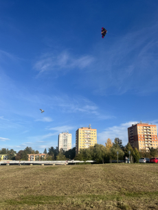 Fotogalerie DRAKIÁDA VE ŠKOLNÍ DRUŽINĚ, foto č. 4