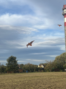 Fotogalerie DRAKIÁDA VE ŠKOLNÍ DRUŽINĚ, foto č. 8